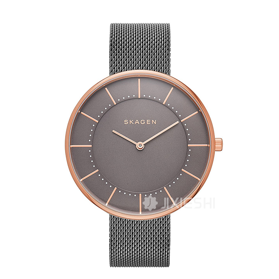 SKAGEN DENMARK Ԋ(sh)ʯӢŮʿֱSKW2584 Ȿԭ