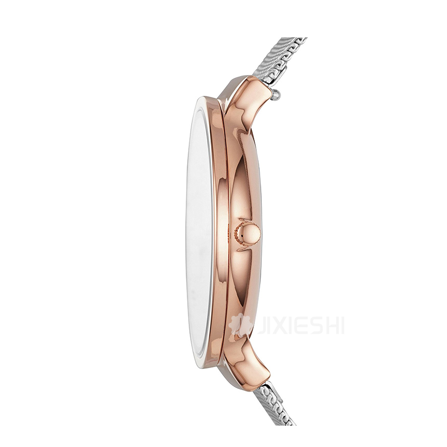SKAGEN DENMARK Ԋ(sh)ʯӢŮʿֱSKW2616 Ȿԭ