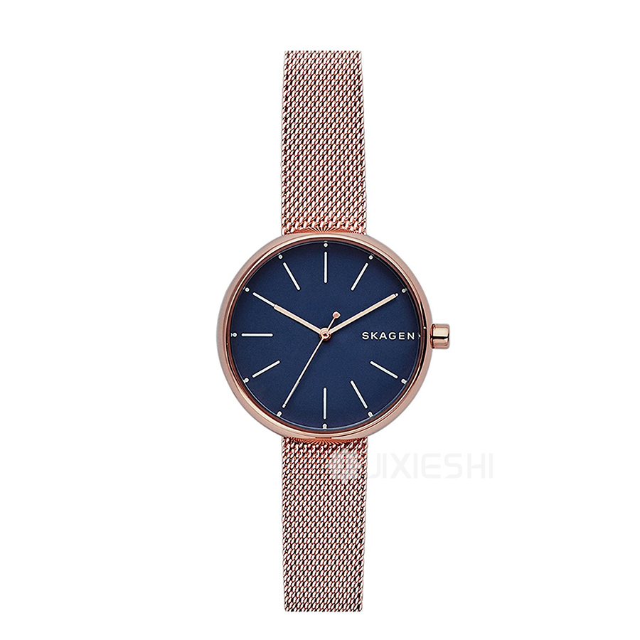 SKAGEN DENMARK Ԋ(sh)ʯӢŮʿֱSKW2593 Ȿԭ