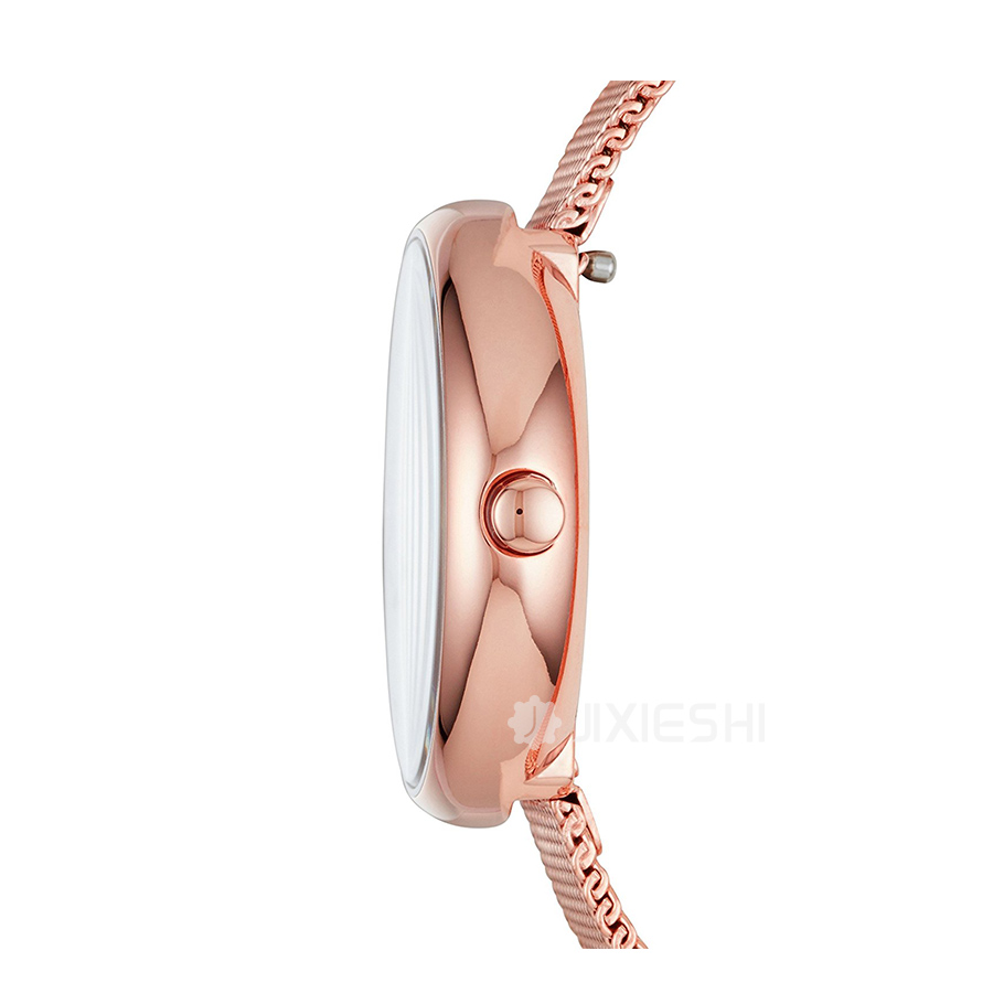 SKAGEN DENMARK Ԋ(sh)ʯӢŮʿֱSKW2593 Ȿԭ